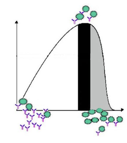 <p>this is the Heidelberger-Kendall Curve. in the (color: white, black, grey) ____ zone, there is an equivalence zone (unstable area) where there is <strong>equal amount of antibodies and antigens</strong>.</p>