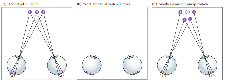 <p>in reference to binocular vision, the issue of figuring out which bit of the image in the left eye should be matched with which bit in the right eye </p>