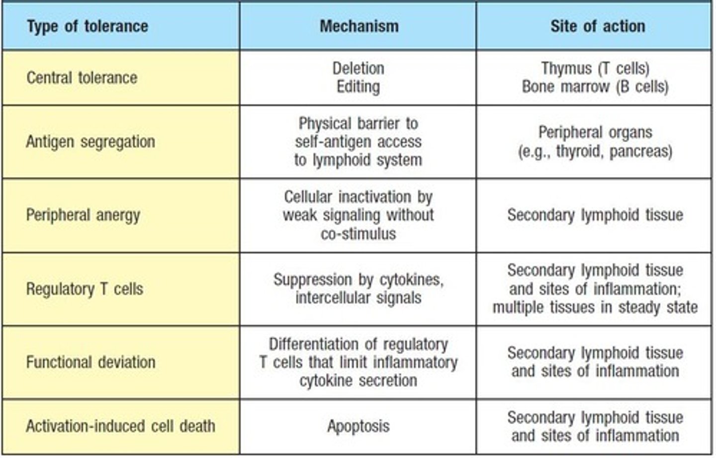 <p>Central tolerance and peripheral tolerance.</p>