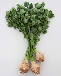 <p>Celery Root</p>