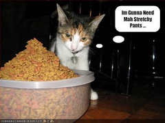 phong phú, dồi dào, đa dạng= bounteous, multitudinous
