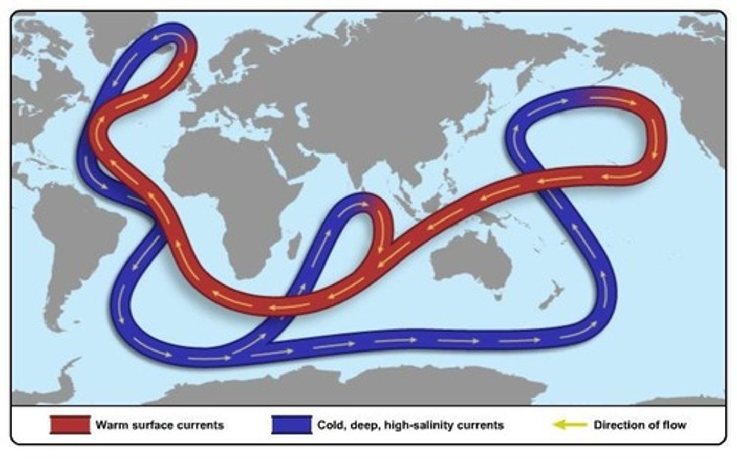 <p>Deep currents move heat, nutrients, and oxygen.</p>