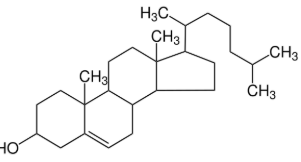 <p>What is the macro molecule</p>