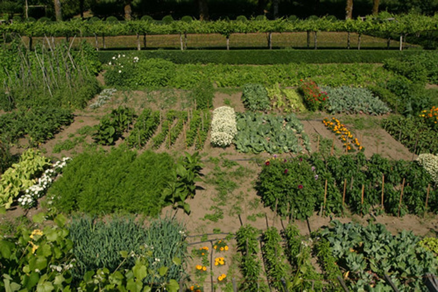 <p>terreno destinado al cultivo</p>