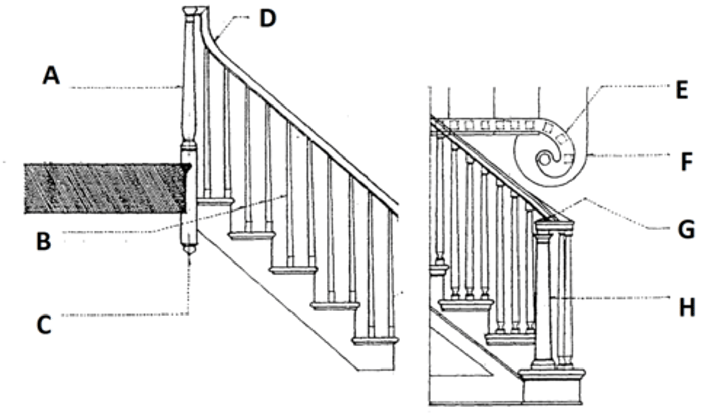 <p>any of a number of closely spaced supports for a railing [B]</p>
