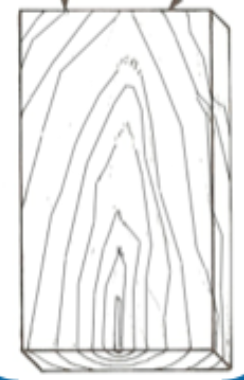 <ul><li><p>Tangential Cut</p></li><li><p>Annual Rings</p></li><li><p>“Slicing bread”</p></li></ul>