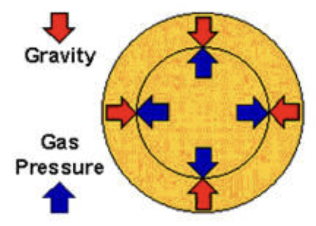 <p><span>Gravity (pulling in) and nuclear fusion energy (pushing out)</span></p>