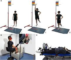 <p><strong>A patient is asked to stand with feet together, eyes open, and hands by the sides. Then the patient is asked to close his eyes while the nurse observes for a full minute. What assessment is the nurse performing?</strong></p><p>A) Segmental reflex</p><p>B) Posture</p><p>C) Proprioception</p><p>D) Crossed-extensor reflex </p>