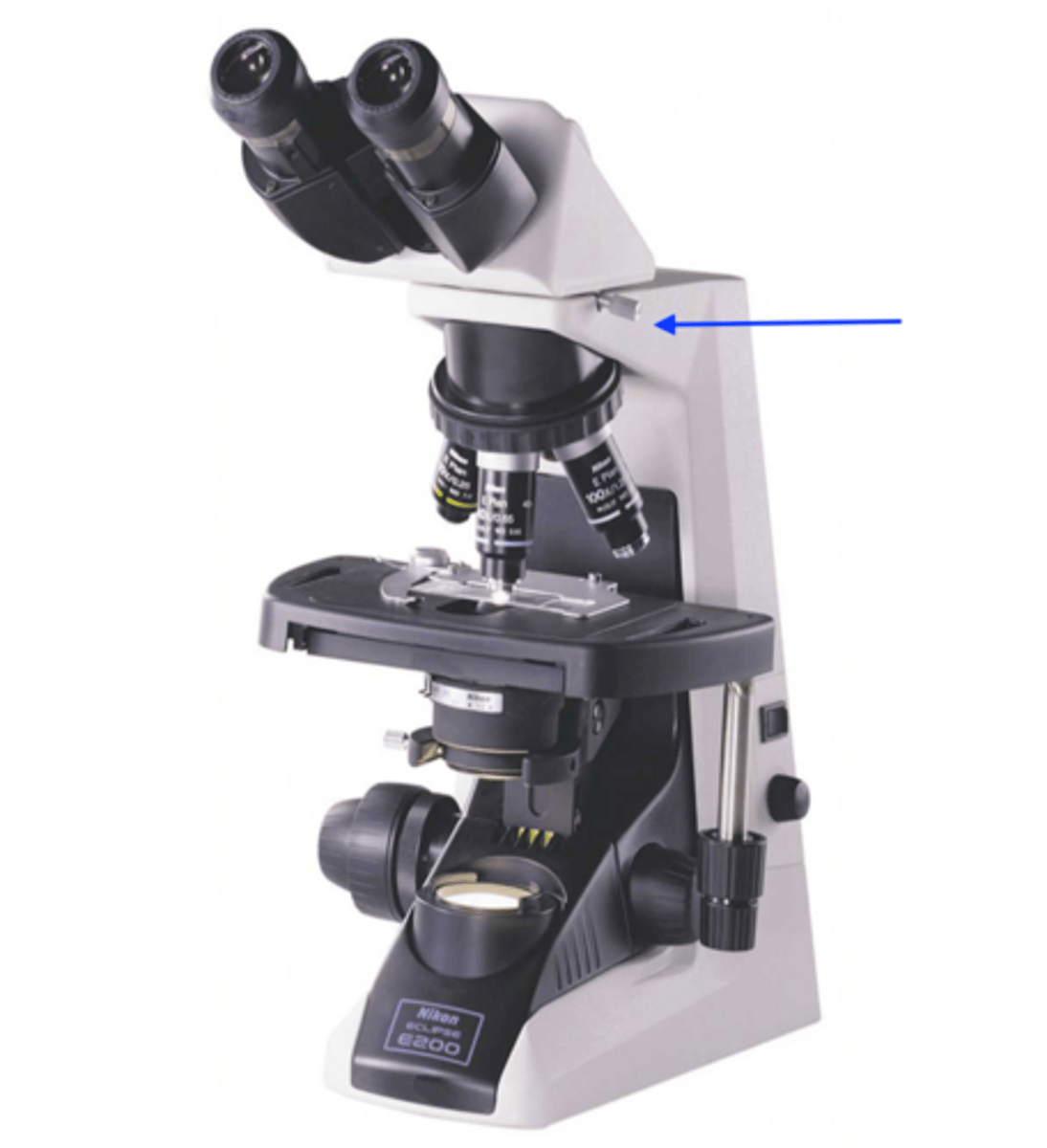 <p>(attachment site for revolving nosepiece)</p>