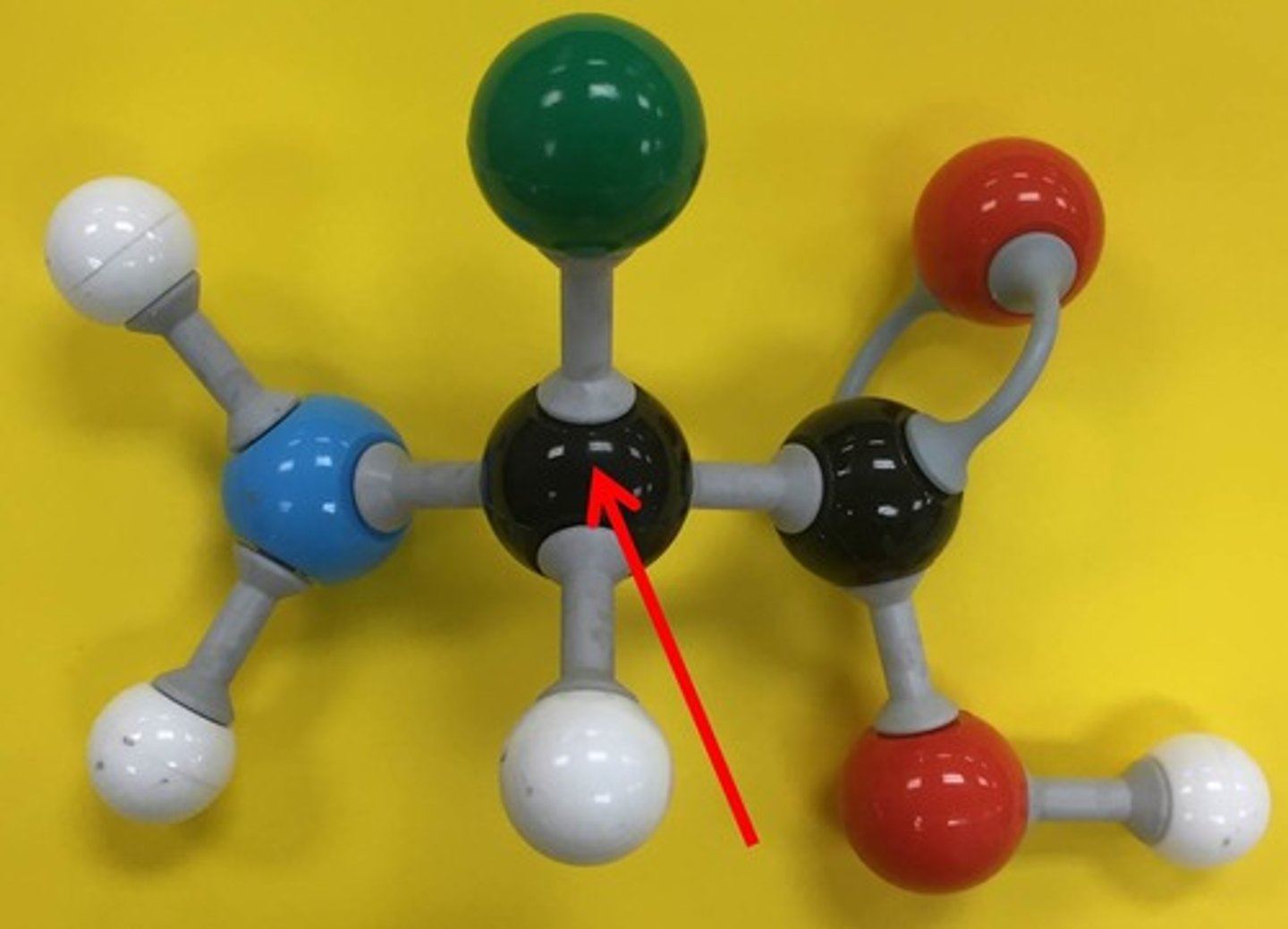 <p>in an amino acid it the the carbon in the middle of the molecule that the amine and carboxylic acid groups are attached to</p>