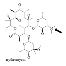 <p>Name Enzyme&nbsp;</p>