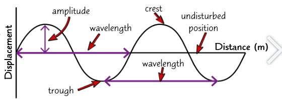 <ul><li><p>When waves travel through a medium, the particles of the medium oscillate and transfer energy between each other. BUT overall, the particles stay in the same place - only energy is transferred.</p></li><li><p>The amplitude of a wave is the maximum displacement of a point on the wave from its undisturbed position.</p></li><li><p>The wavelength is the distance between the same point on two adjacent waves (e.g. between the trough of one wave and the trough of the wave next to it).</p></li></ul><p></p>