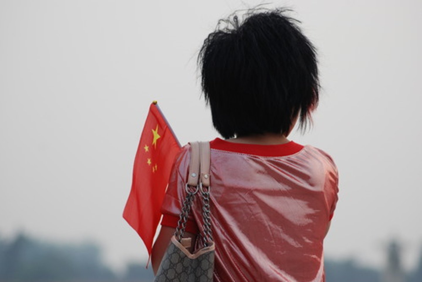 <p>Chinese woman</p>