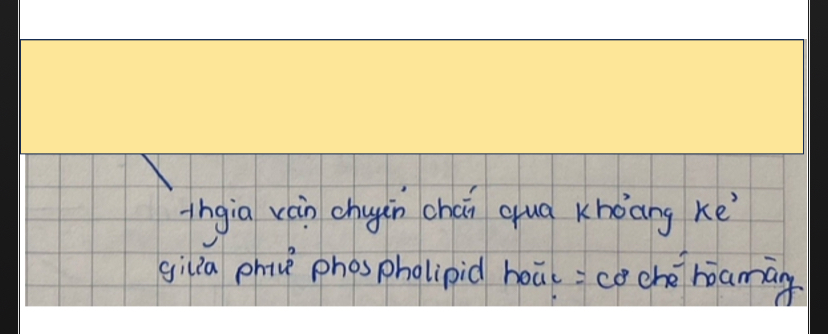 <p>Chức năng của phospholid thuộc lipid</p>