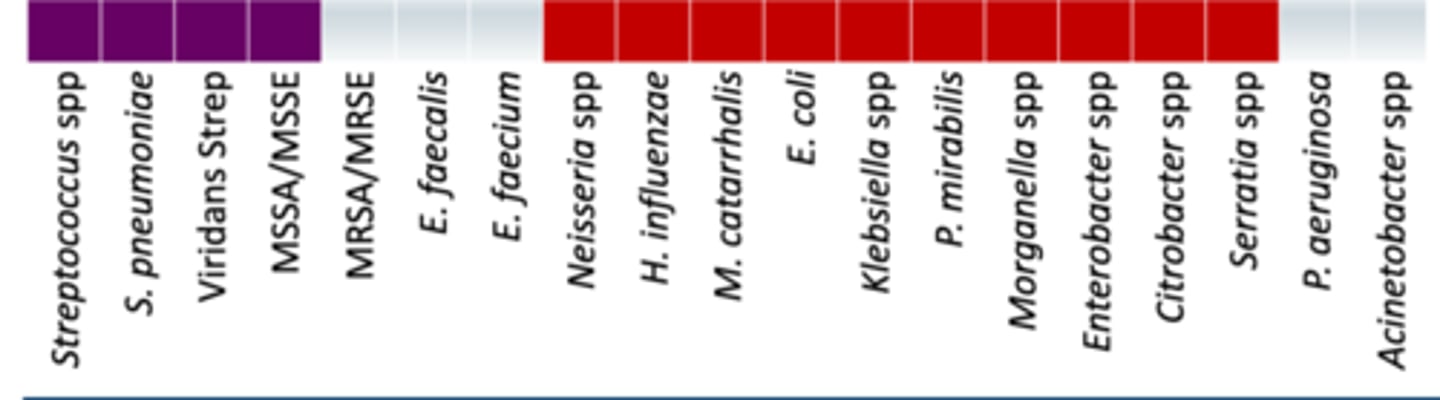<p>• Anaerobes: +/+ (oral anaerobes/gut anaerobes)</p><p>• Miscellaneous: </p><p>- Stable against ESBL and AmpC </p><p>- Inactive against S. maltophilia (causes outbreaks)</p><p>• Used if drug is found to be susceptible or need for once daily therapy </p><p>• Coverage - Covers almost everything except MRSA, enterococcus, P. aeroguniosa, and Acinetobacter. spp, + works on gut anaerobes</p>
