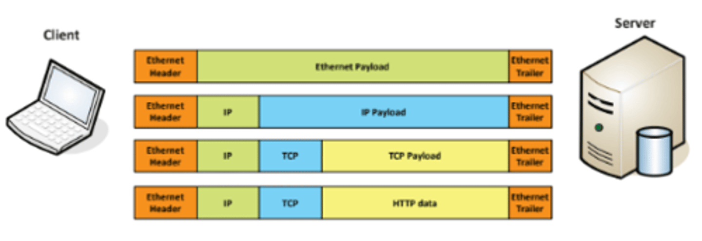 <p>• Efficiently move large amounts of data</p><p>- Use a shipping truck</p><p>• The network topology is the road</p><p>- Ethernet, DSL, cable system</p><p>• The truck is the Internet Protocol (IP)</p><p>- We've designed the roads for this truck</p><p>• The boxes hold your data</p><p>- Boxes of TCP and UDP</p><p>• Inside the boxes are more things</p><p>- Application information</p>