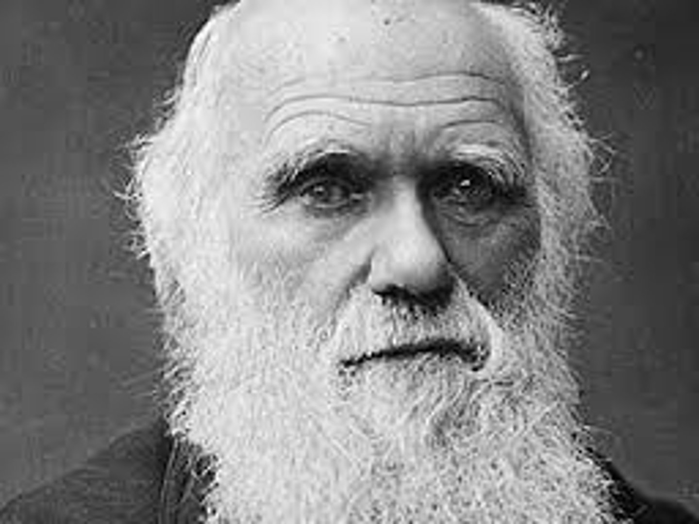 <p>When Darwin's Theory of Evolution was published in 1859, the RC Church initially did not take a stance on the theory. In 1880, the Church reaffirmed the belief that Eve was created out of Adam's rib, and in 1893 Providentissimus Deus was issued which stated that the Bible did not have to be read as literally true, and therefore the Creation Stories are more symbolic than literal. Pope Francis: "Evolution... is not inconsistent with the notion of creation" (2014).</p>