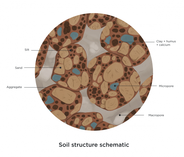 <p>pore spcaes within a secondary aggregate</p>