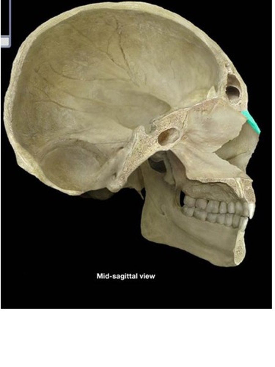 <p>/ˈneɪzl/ tính từ</p><p>thuộc về mũi, qua mũi</p><p>The doctor advised him to use nasal spray to relieve congestion.</p><p>nose-related, nostril</p><p>nasalization (n)</p>