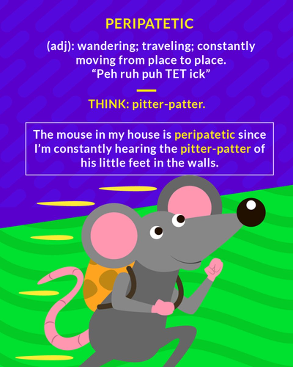 <p>(adj.) wandering from place to place, especially on foot</p>