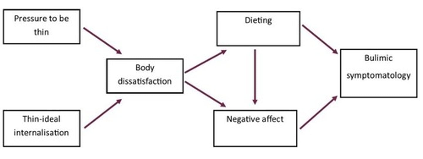 <p>distal to more proximal</p><p>longitudinal module </p>