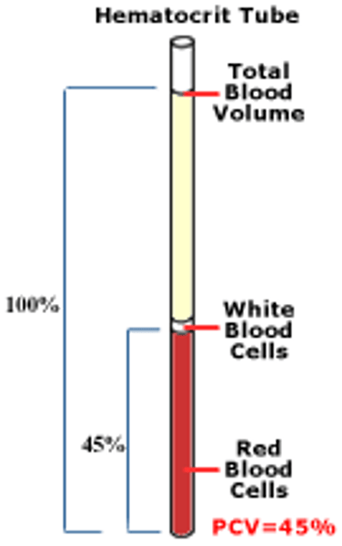 <p>about 45%</p>