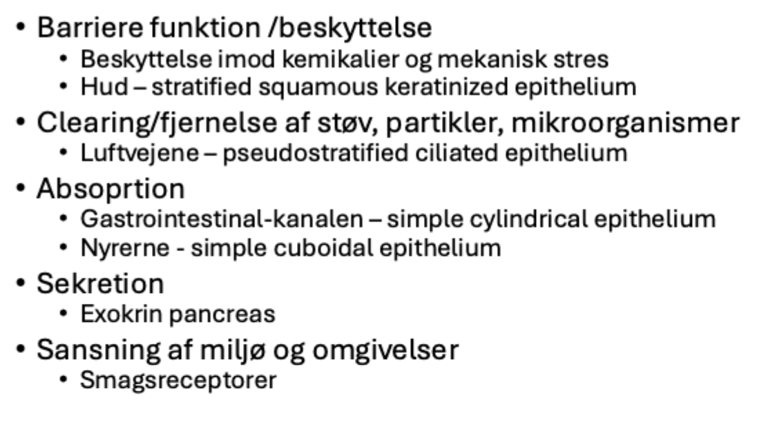 <p>Barreire funktion/beskyttelse</p><p>Fjernelse af støv, partikler og mikroorganismer</p><p>Absorption</p><p>Sekretion</p><p>Sansning af miljø og omgivelser</p>