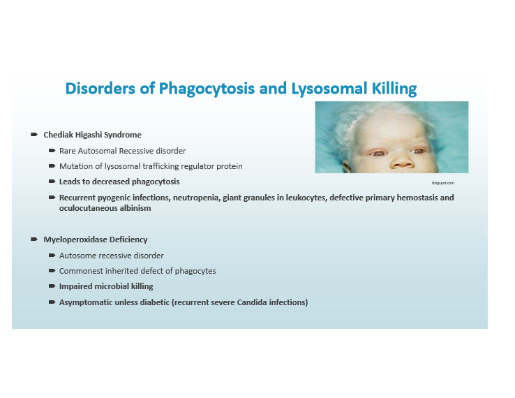 <p>Impaired phagocytosis; infections, neutropenia, giant granules, albinism</p>