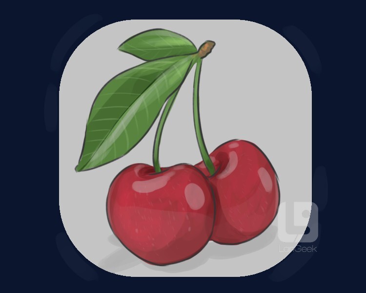 <p>quả cherry</p>