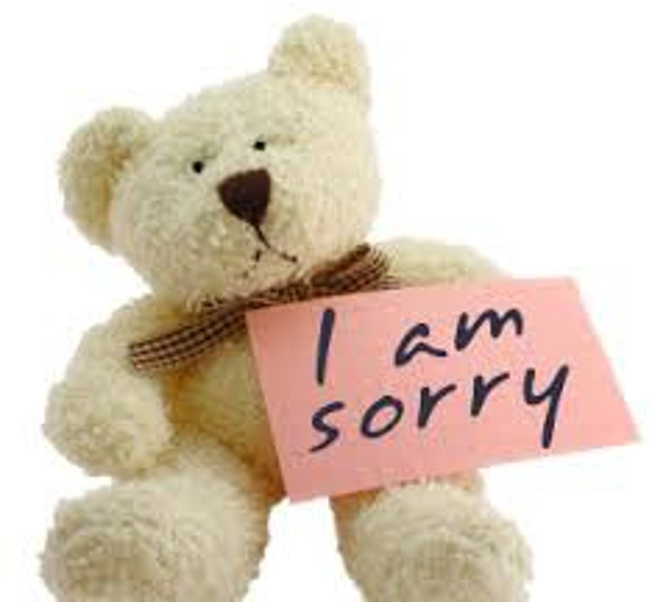 <p>I'm sorry.</p>