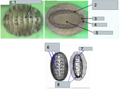 <p>What is number 5?</p>