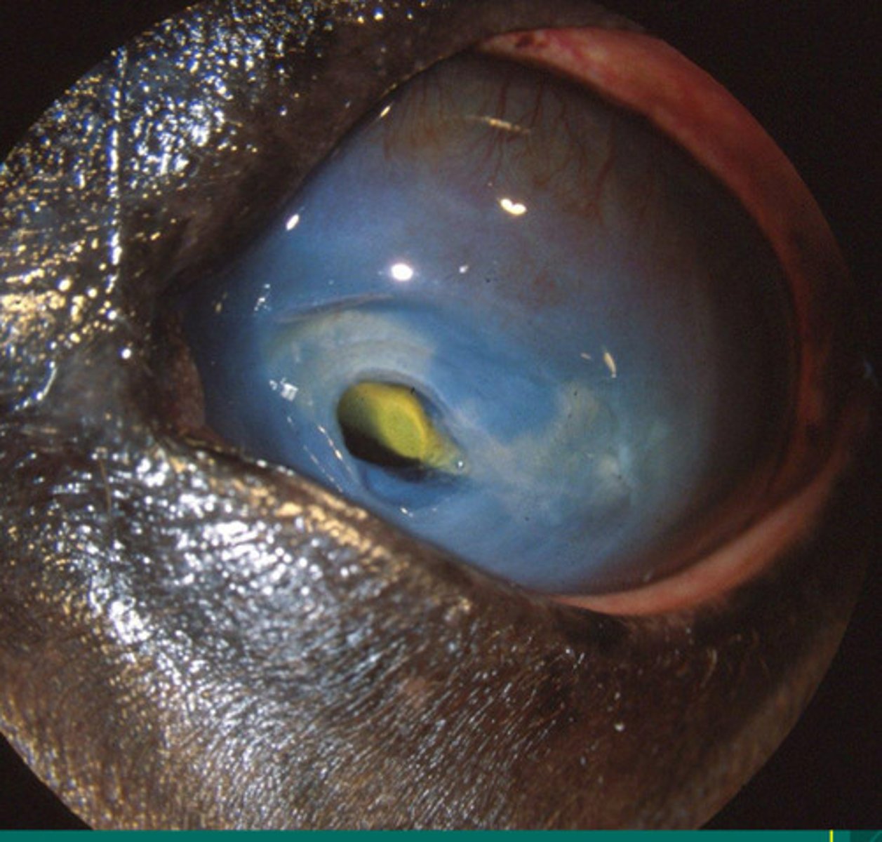 <p>What is happening here?</p>