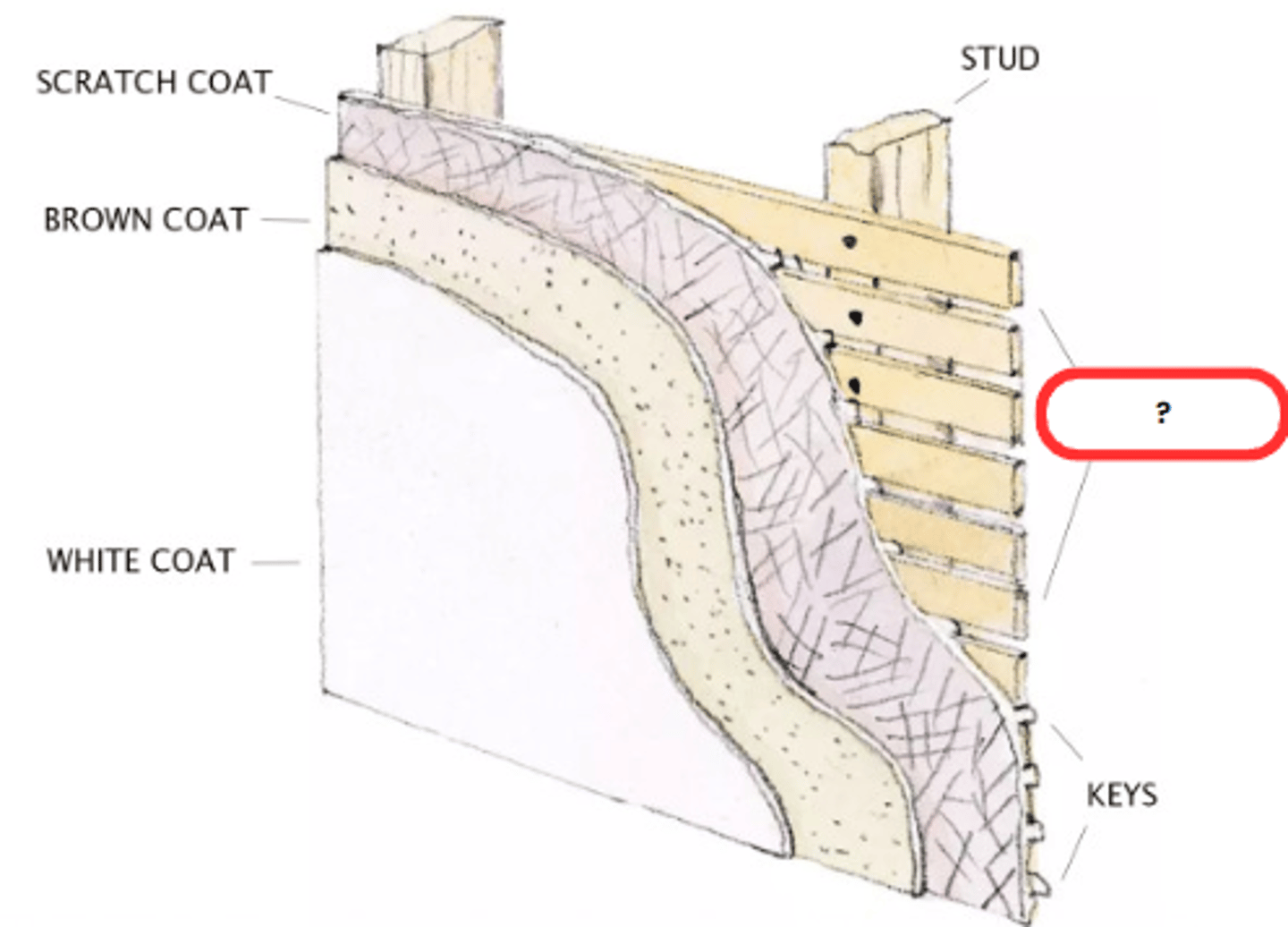 <p>LATH / WOOD STRIP</p><p>a thin flat strip of wood, especially one of a series forming a foundation for the plaster of a wall or the tiles of a roof, or made into a trellis or fence</p>