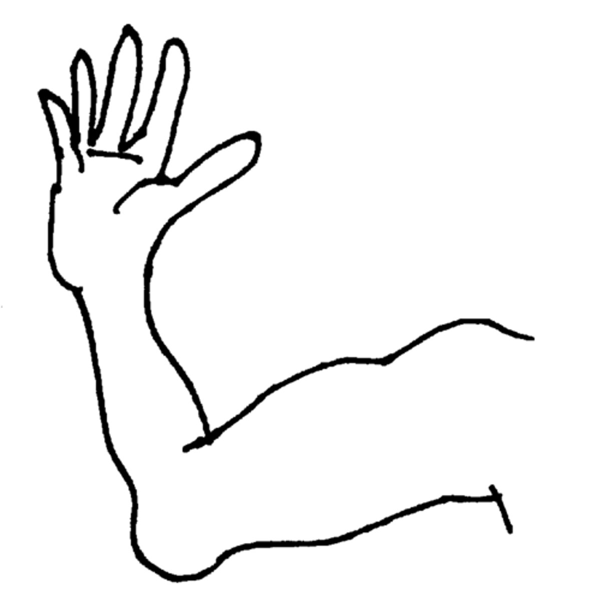 <p>the arm</p>