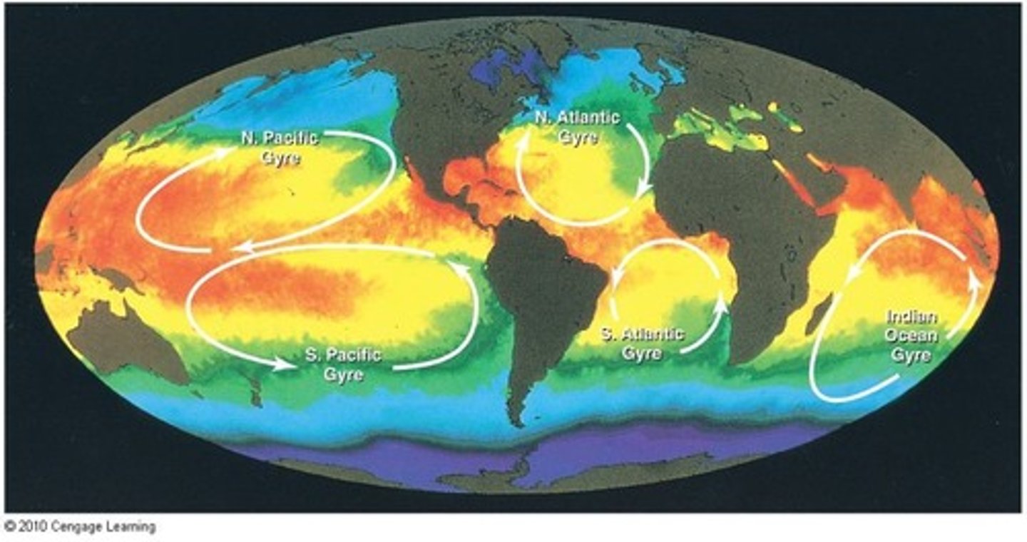 <p>Circular ocean currents formed by wind and Coriolis.</p>