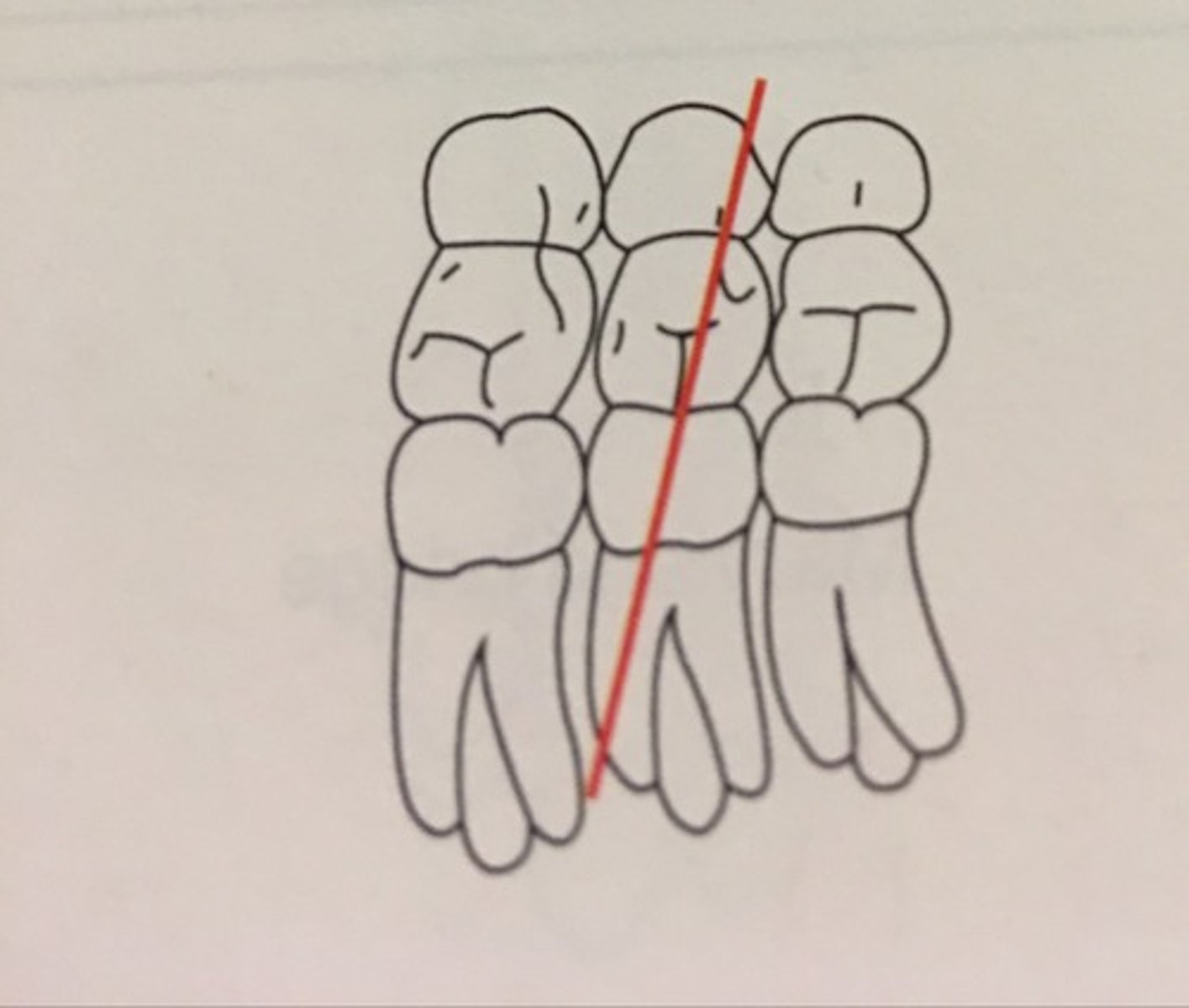 knowt flashcard image