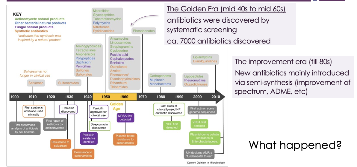 <ul><li><p><span><span>in the mid 40s to mid 60s, antibiotics were discovered by systematic screening → 7000 antibiotics discovered</span></span></p></li><li><p><span><span>the improvement era (till 80s) → New antibiotics mainly introduced via semi-synthesis (improvement of spectrum, ADME, etc)</span></span></p></li></ul><p></p>