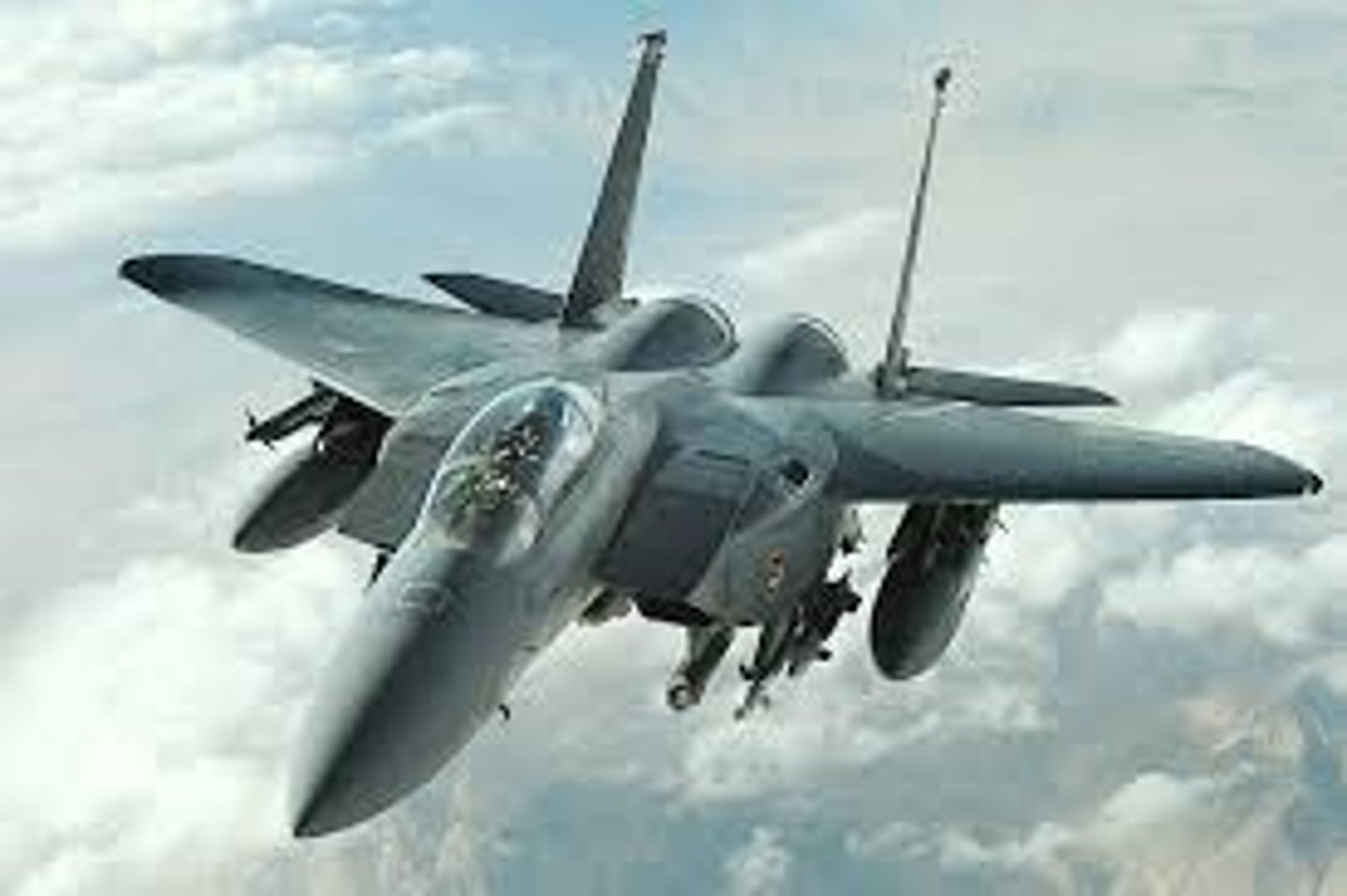 <p>2 engines, 2 vertical stabilizers, Tactical Fighter</p>
