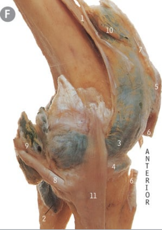 <p>3</p>