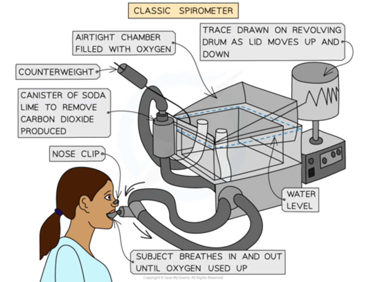 <p>-The person breathes in/out <strong>through</strong> the spirometer</p><p><strong>-co2</strong> is <strong>absorbed</strong> from the <strong>exhaled air</strong> by soda lime to stop the conc. of co2 in the re-breathed air from getting too high, as this can cause respiratory distress</p><p>-As subject breathes through the spirometer, a <strong>trace</strong> is drawn on a rotating drum of paper or a <strong>graph</strong> is formed digitally, which can be viewed on a computer</p><p>-From this trace, the subject's <strong>vital capacity</strong>, <strong>tidal volume</strong> and <strong>breathing rate</strong> can all be <strong>calculated</strong></p>