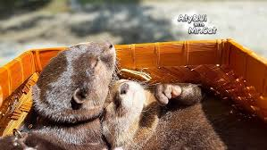 <p><span>Neurons in the Substantia Nigra</span></p>