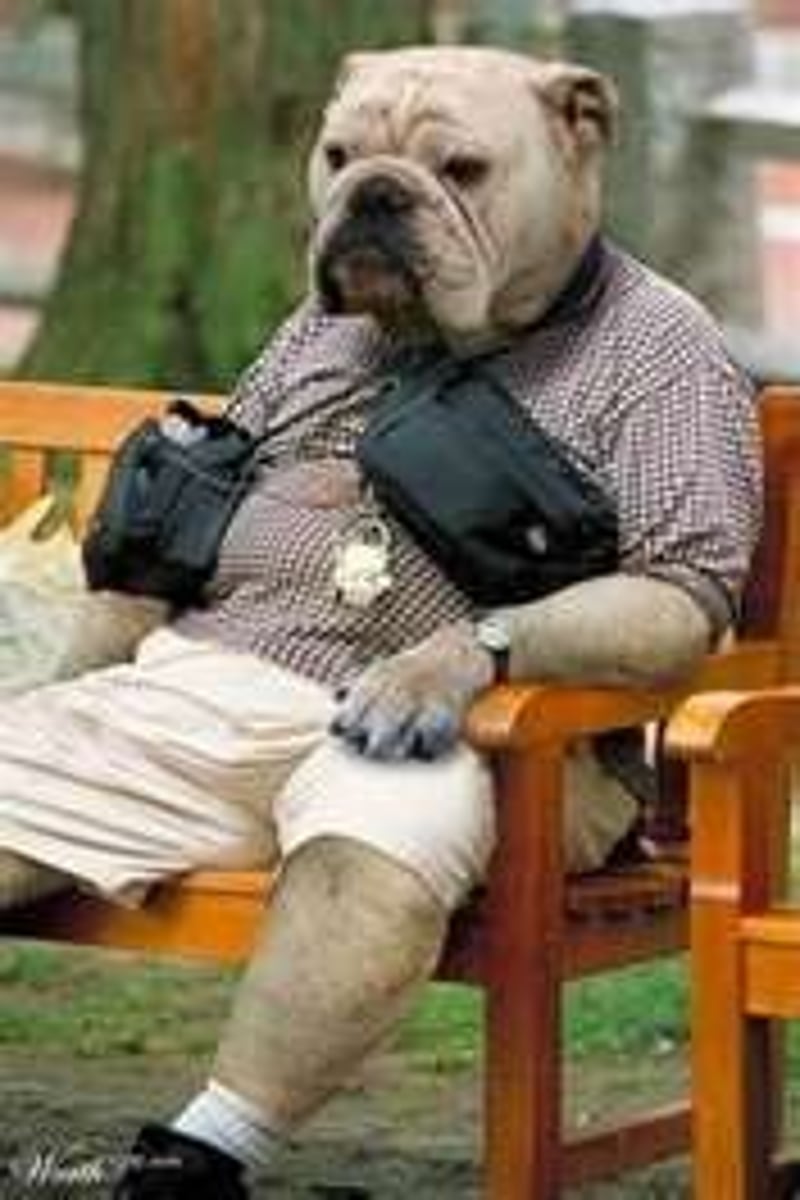 <p>A figure of speech in which an object or animal is given human feelings, thoughts, or attitudes</p>
