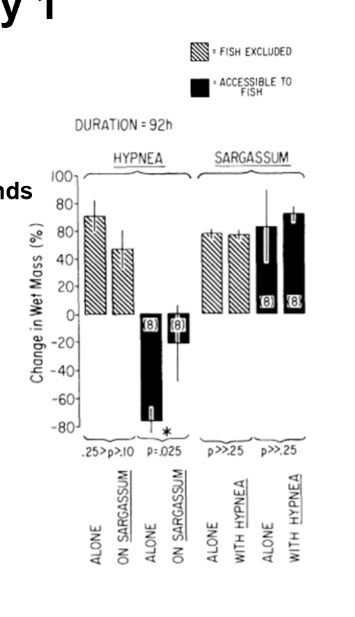 <p><em>Case study 1: Associational Defenses</em></p><p>Does Hypnea do better alone or when Sargassum is present? Why? </p>