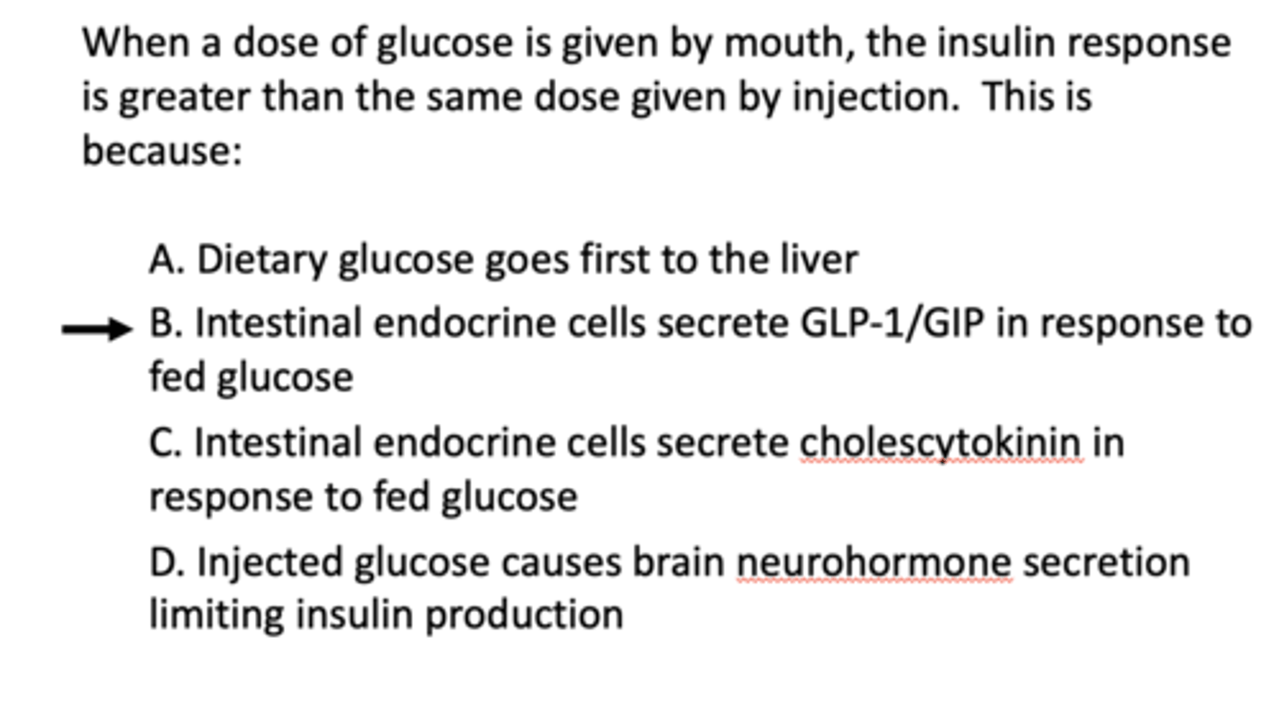 <p>B. Intestinal endocrine cells secrete GLP-1/GIP in response to fed glucose</p>