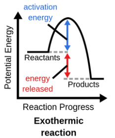 <p>Products have less energy than reactants</p>