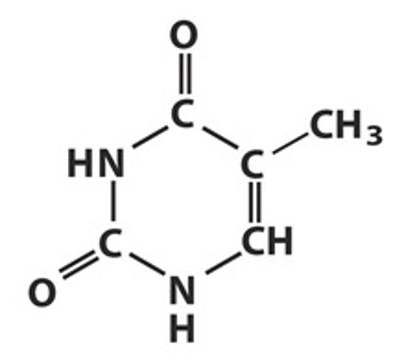 <p>pyrimidine base that pairs with Adenine, found only in DNA (Uracil replaces Thymine as a base in RNA)</p>