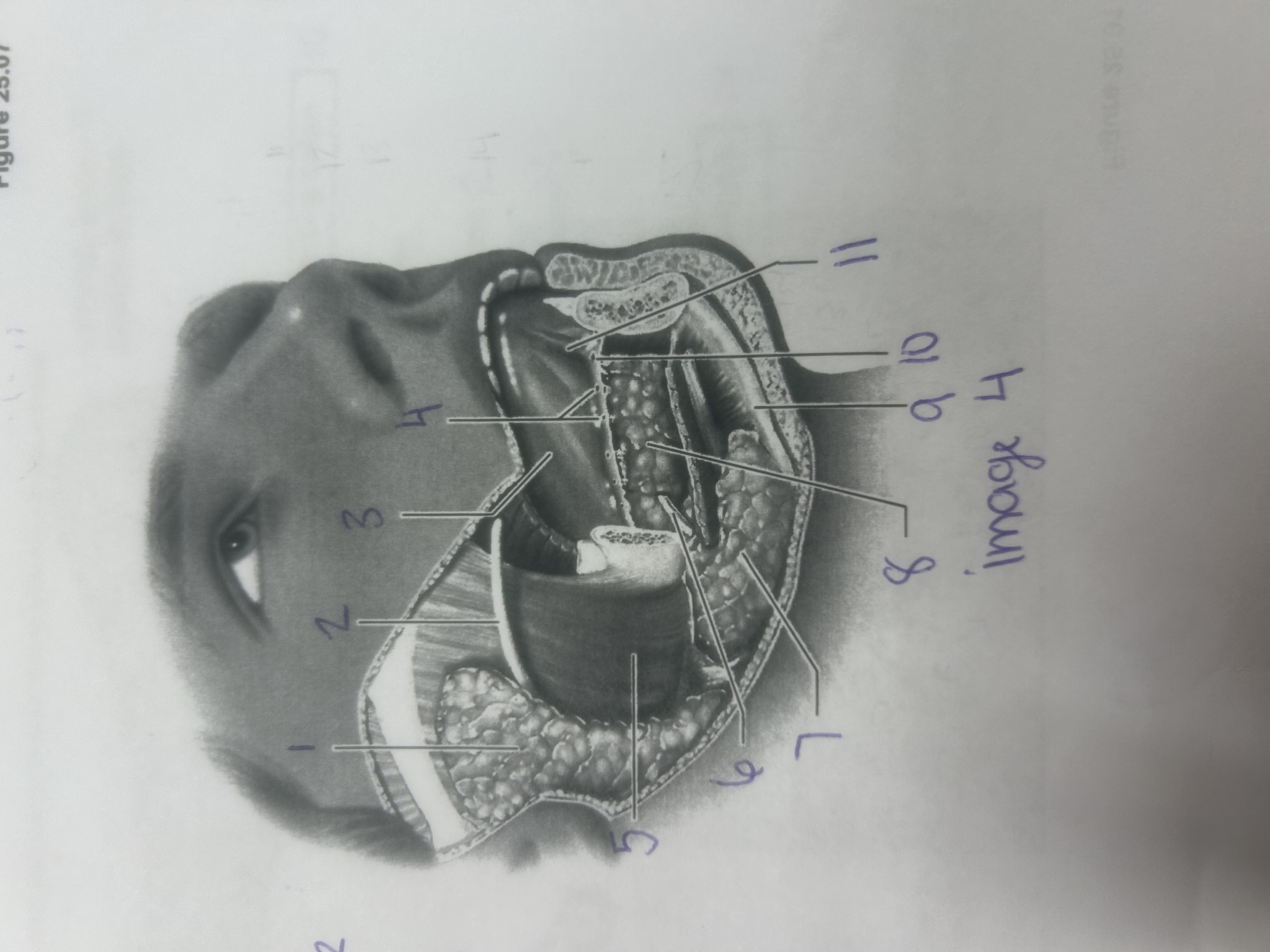 <p>2</p>