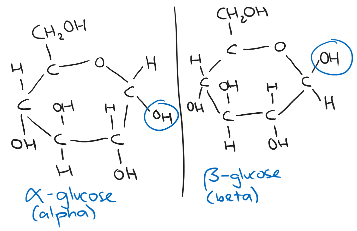 The ring structure of glucose (C₆H₁₂O₆).