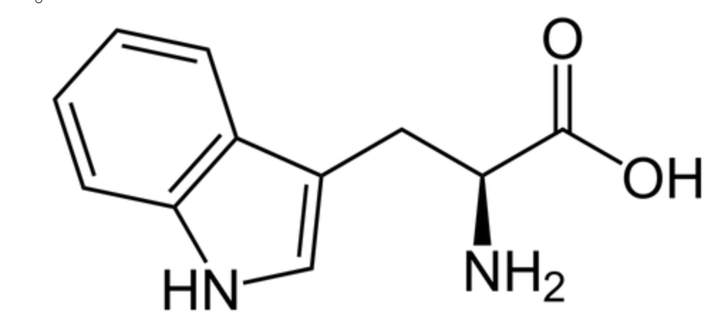 <p>Trp, W, aromatic and non polar</p>