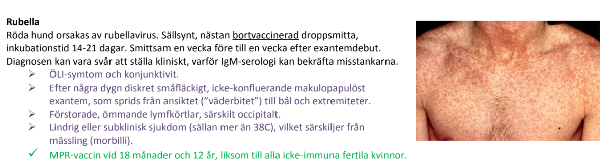 <p><strong>Rätt svar:</strong><br><span data-name="check_mark_button" data-type="emoji">✅</span> <strong>De flesta är vaccinerade mot rubellavirus.</strong></p>